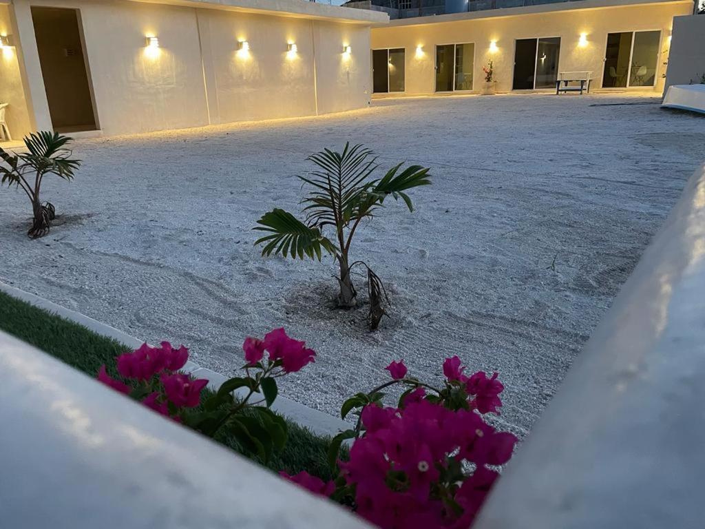 Palomar Villas Río Lagartos Exterior foto